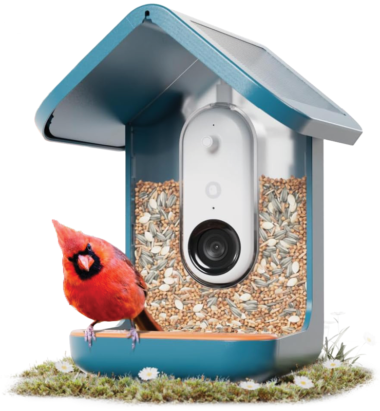 Birdbuddy PRO