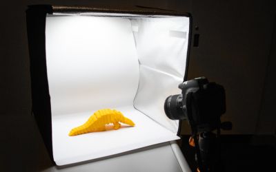 DSLR camera taking photo of a yellow 3D armadillo inside a lit lightbox.