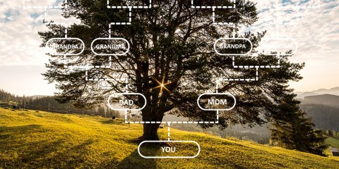 Family Tree