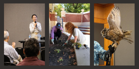 Three images sit side-by-side on a dark brown background. Each image was taken at a NACo award-winning program. From left to right: A woman of Asian descent stands at the front of a room full of people and smiles while sharing her story about immigrating to the United States. Two teens kneel over a garden bed in a library courtyard, digging holes where native plants will be placed. A close-up photograph of an owl flapping its wings while perched on a presenter's arm.  