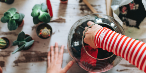 A bird's-eye-view of someone wearing a red and white striped shirt placing items inside a dirt-filled terrarium. Surrounding the terrarium are other small succulent and cactus plants.